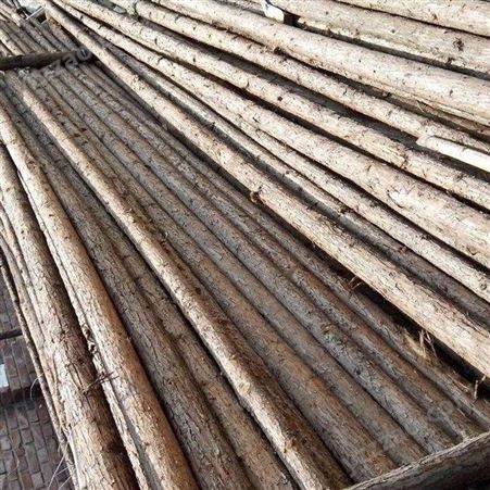 天津静海防汛木桩批发 杉木杆木桩 厂家批发定制