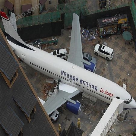 大型客机模型餐厅 空乘教学设备 飞机驾驶模拟器 信晟达制作