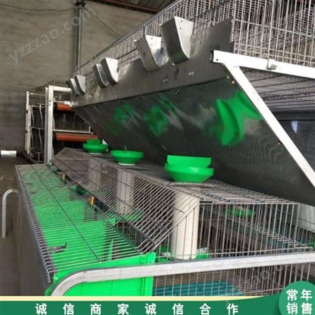 9位种兔养殖笼 青年兔种兔子笼 子母配对兔笼 市场供应