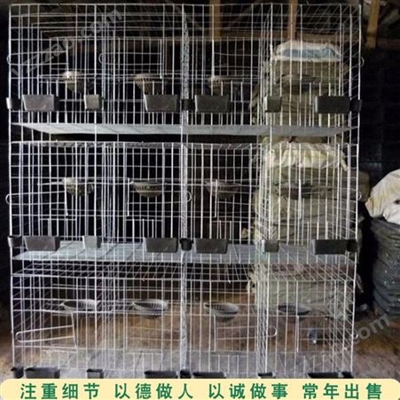家用子母鸽笼 16位鸽笼子 养殖种鸽笼子 供应价格
