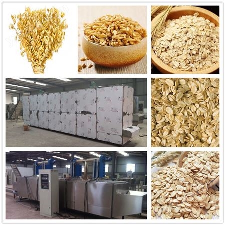 全自动燕麦片加工机械，燕麦片生产设备