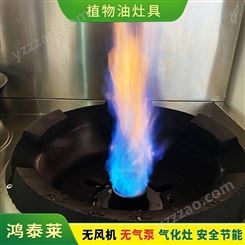贵州新能源燃料炉灶配件 贵州植物油燃料项目 鸿泰莱