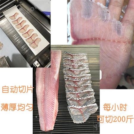 全自动酸菜鱼鱼片机商用斜切水煮鱼草黑鱼巴沙鱼小型切片机多功能