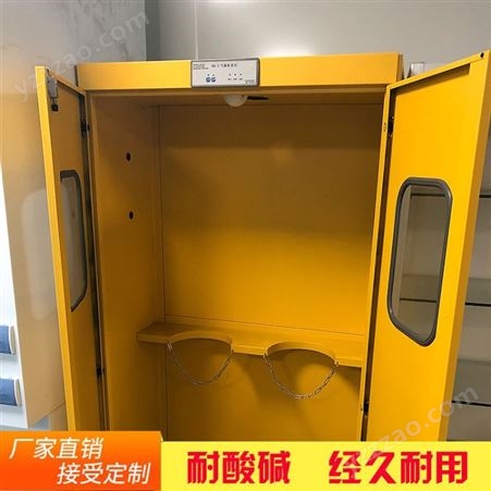 杭州威尔净化 厂家定制双瓶防爆柜 实验室防火气瓶柜 自动智能声光报警安全柜
