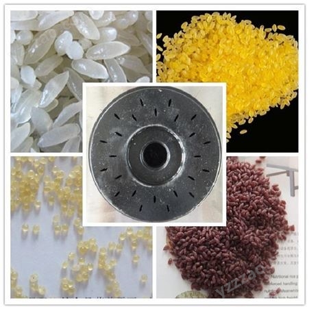 济南比睿特 速食营养米生产线 粗粮膳配米加工设备