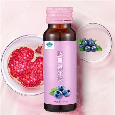 蓝莓果汁饮品OEM代加工  来样定制 山东
