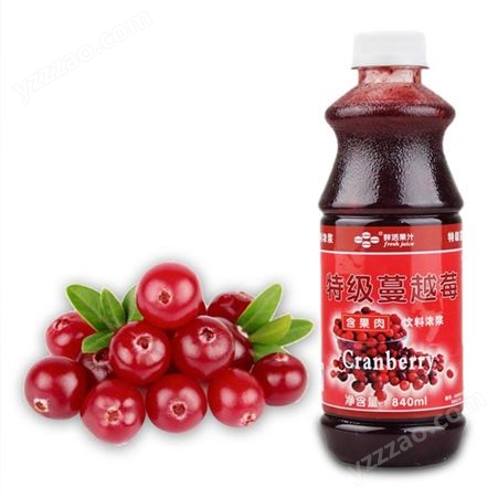 鲜活840ml蔓越莓味浓浆果汁 含果肉果味饮料饮品 奶茶原料批发
