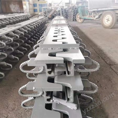 厂家供应公路桥梁伸缩缝 D80c40型变形缝缓冲装置 异型钢模数式伸缩缝彦邦定制
