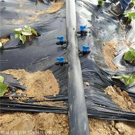 南阳温室滴灌设备迷宫式滴灌带水肥一体化