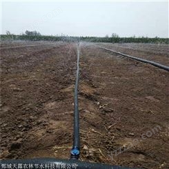 安徽安庆喷灌设备 农业蔬菜喷管带