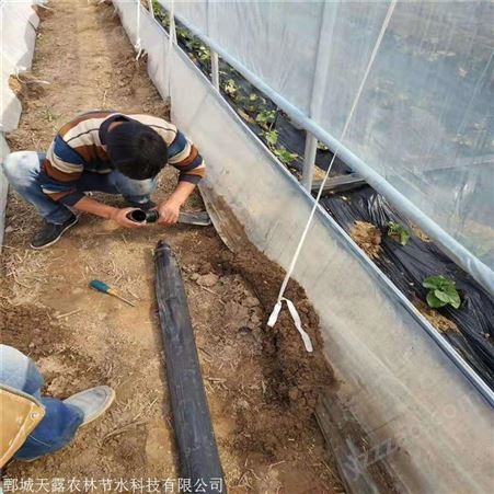 南阳温室滴灌设备迷宫式滴灌带水肥一体化