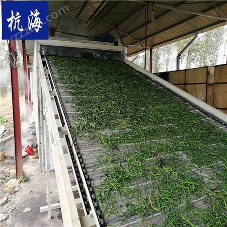 杭海机械 多层网带烘干机 农产品烘干设备 豆角烘干机生产厂家