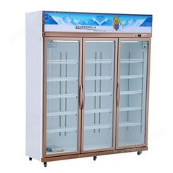 西安冷藏柜  商用冷柜  铝合金回旋门    西安不锈钢冷藏柜  1280直冷