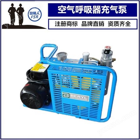 放哨人X100供应压缩空气填充泵  充气泵 呼吸器充气泵 空气呼吸器充气
