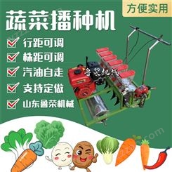 蔬菜播种机香菜油菜小粒种子精播机萝卜辣椒精量点播机加工定制