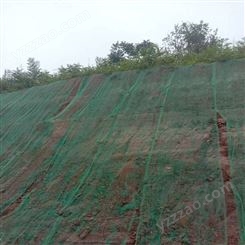 天津边坡修复客土喷播技术绿化添加剂