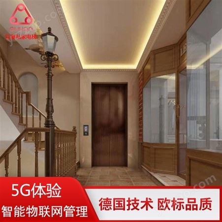 GS600杭州小型电梯价格 厂家定制别墅家用电梯Gulion/巨菱