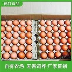 草鸡蛋供应商_德谷食品_虫草鸡蛋_颗颗精选