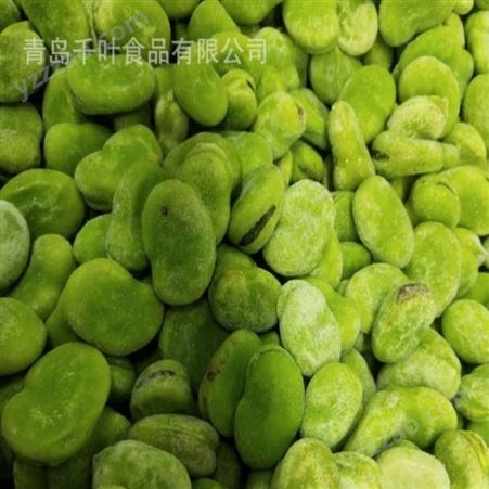 出口级优质冷冻蚕豆粒 冷冻速冻食品