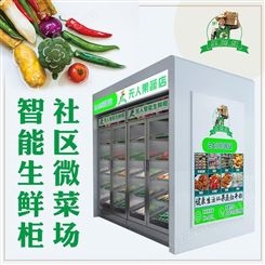 河北九善果蔬叔自动蔬菜生鲜柜品牌,智能果蔬柜开启新食尚