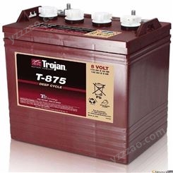 美国Trojan邱健蓄电池8V170AH清洁机升降机专用T-875蓄电池 升降机专用电瓶