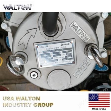 进口大流量无阻塞轴流泵，进口轴流泵，泵站轴流泵：美国沃尔顿WALTON