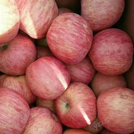 红富士苹果批发 苹果新鲜水分多 红富士价格美丽 裕顺价格实惠