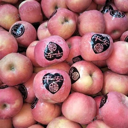 新鲜苹果价格 现货红富士发货快 好吃的苹果 裕顺批发发货快