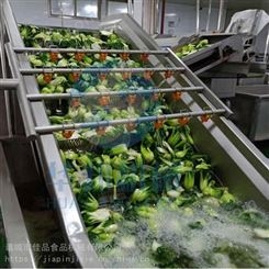上海青菠菜快速清洗设备 草莓喷淋清洗机器