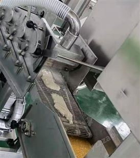 辰谷牌商用巴沙鱼片挂糊机 CG-400型上浆设备 可定制