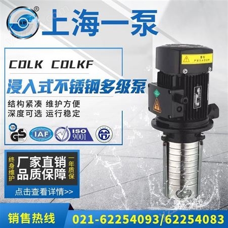上海一泵CDLK-CDLKF浸入式多级泵轻型多级泵立式管道不锈钢多级泵