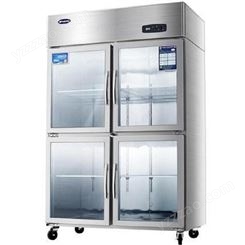 冷柜冰箱冷藏双门JBL0630冷柜立式保鲜冷柜银都冷柜