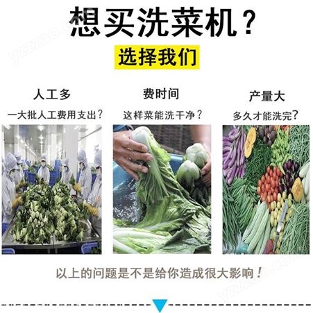 广州九盈洗菜机 旋流洗菜机 涡流蔬菜清洗机 可去杂去农药