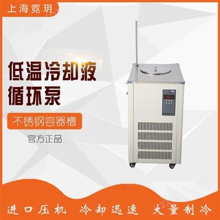 上海厂家 DLSB-20L/10冷凝水循环机 超级恒温水槽 低温循环槽 价格 低温冷却泵