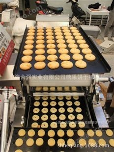供应400曲奇饼干机械 曲奇成型机 上海合强小型食品生产线厂家