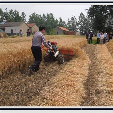 贵州小麦水稻收割机生产厂家 丘陵汽油割麦子机 苜蓿草艾割倒机