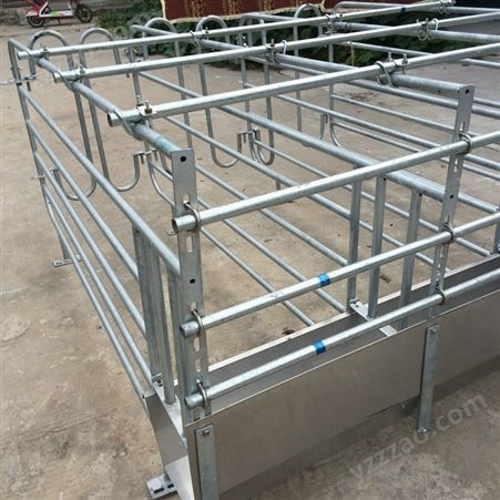 母猪定位栏 养猪设备厂家供应 母猪限位栏 可定做限位栏 保质保量