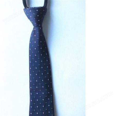 领带 时尚商务绅士领带 厂家供应 和林服饰