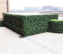 苏州植物墙施工 绿色仿真植物墙
