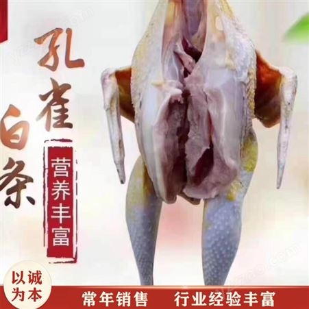 商品孔雀肉 蓝孔雀肉 真空包装孔雀肉 销售报价
