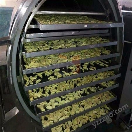 蜂王浆低温真空干燥机 水果真空冷冻干燥设备 西兰花冻干设备