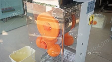 凤翔 ZC-B3高效自动鲜橙榨汁机 柠檬榨汁机