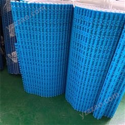 祥海 塑料链板 塑料网带源头实力厂家 欢迎考察