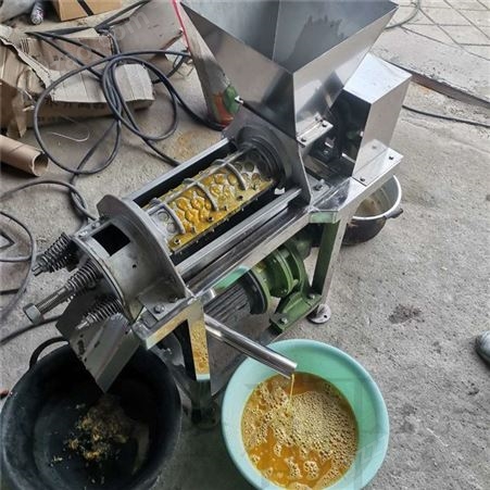 苹果葡萄榨汁机 大产量破碎榨汁一体机 果蔬榨汁机