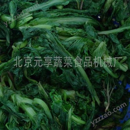北京漂烫冷却脱水一体机-水果蔬菜脱水机-元享机械