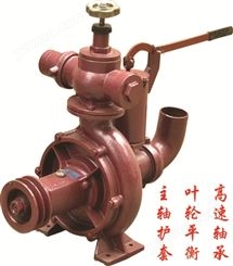80BP-65-230 喷灌泵