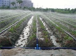 农业灌溉园林绿化浇地专用水带 金雨达输水软管管件微喷水带