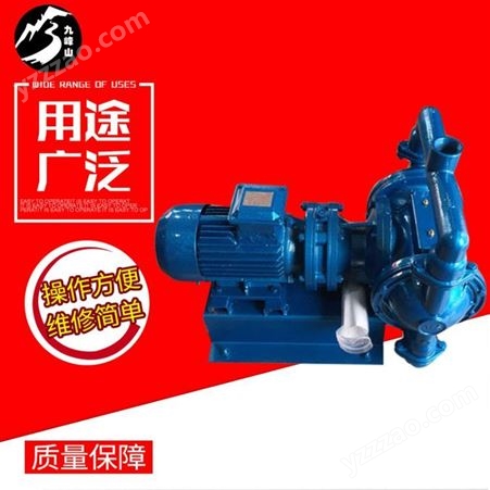 DBY-25P(304)配F46九峰山 DBY不锈钢电动隔膜泵 电动隔膜泵 进口隔膜泵