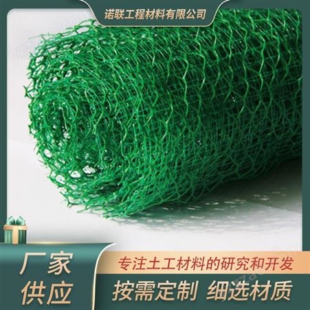 广西护坡种草用绿化植被网 优质三维植被网 批发价格