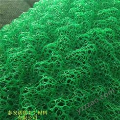 山东三维植被网垫厂家 EM1-5层护坡绿化三维土工网垫 三维植被网诺联
